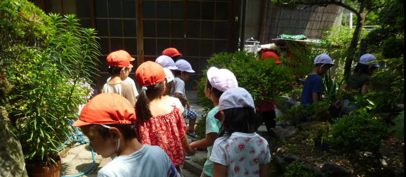 p1040072.jpg